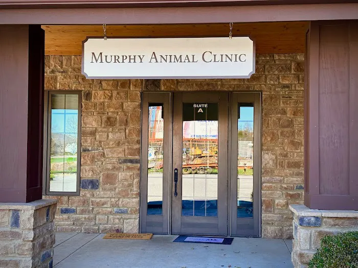 Murphy Animal Clinic 12