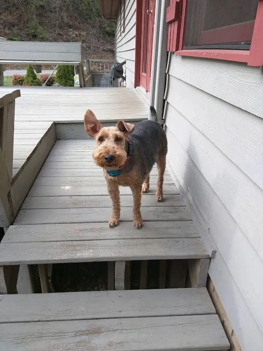 Peachtree Veterinary Hospital 6