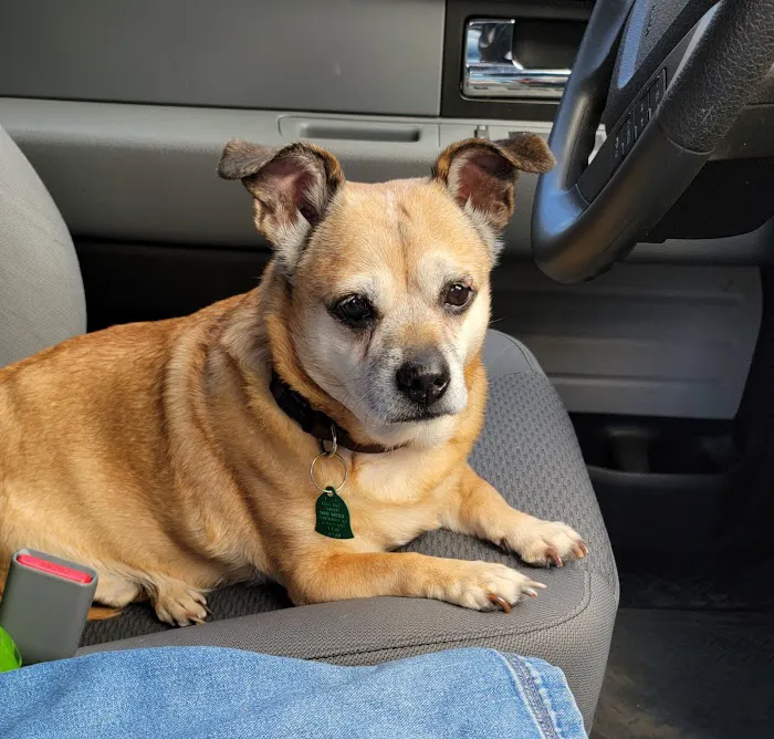 Peachtree Veterinary Hospital 5