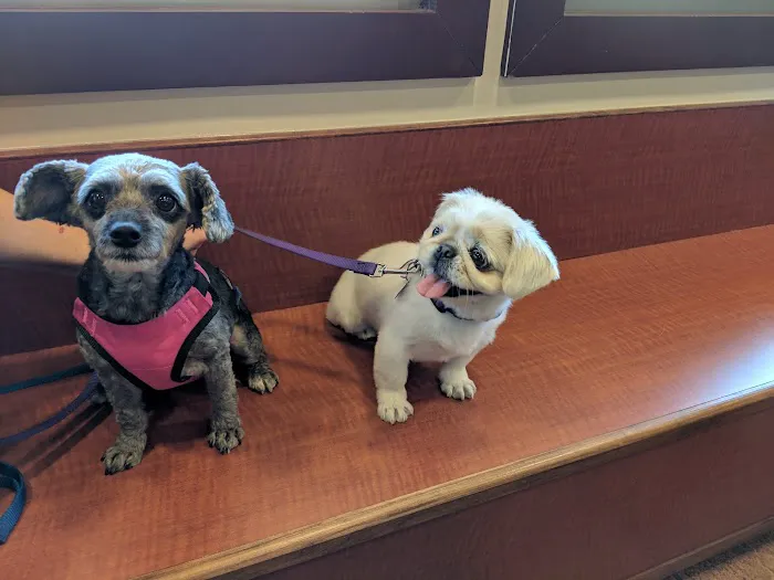 Lake Chatuge Animal Hospital 12