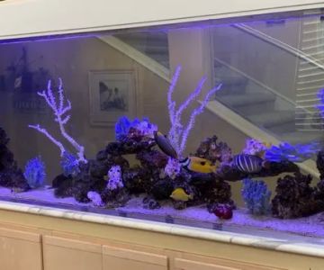 Aquatech Aquarium Service