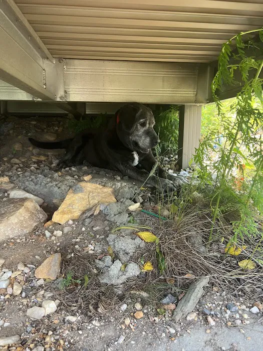 Mountain Mobile Veterinary 12
