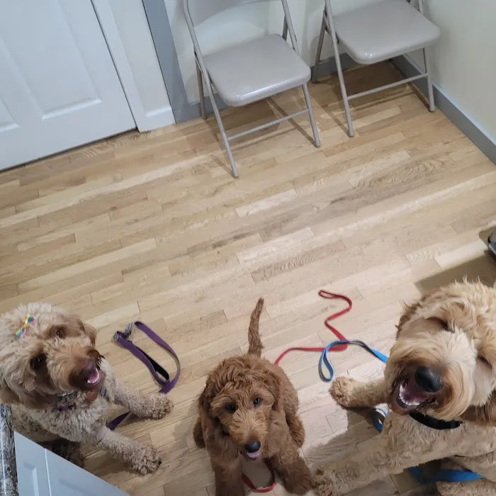 Big Bear Veterinary Clinic 4
