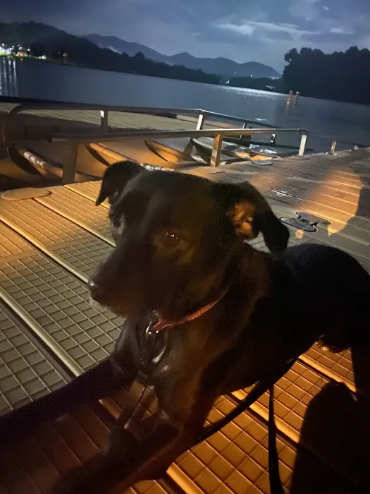 Hiawassee Animal Hospital 12