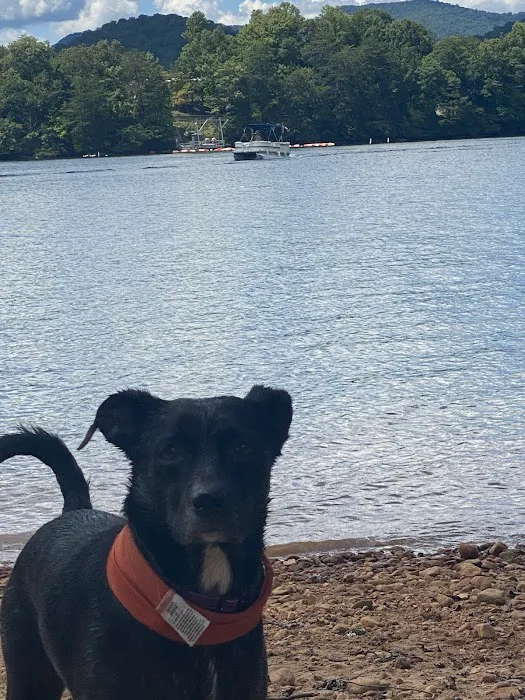 Hiawassee Animal Hospital 12