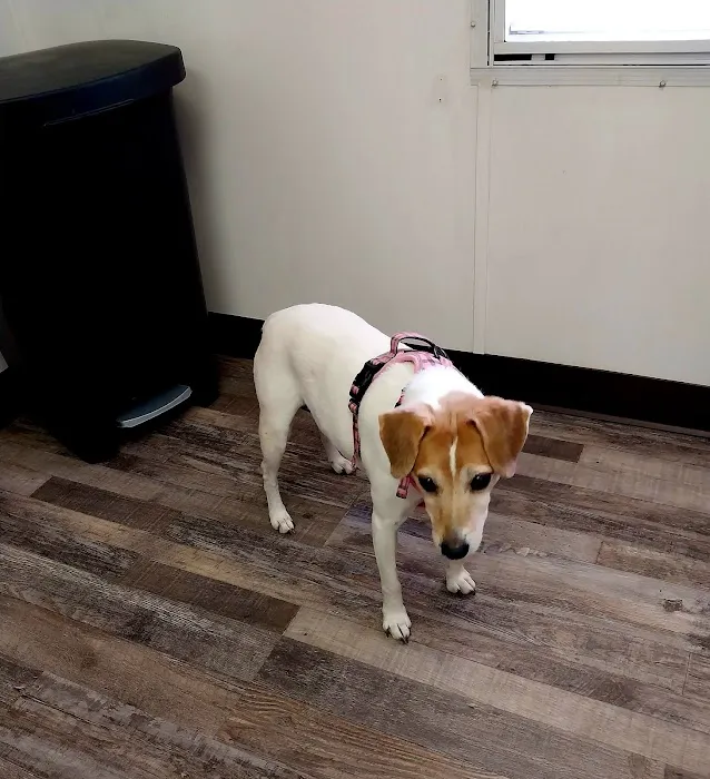 Marble Veterinary Hospital 12