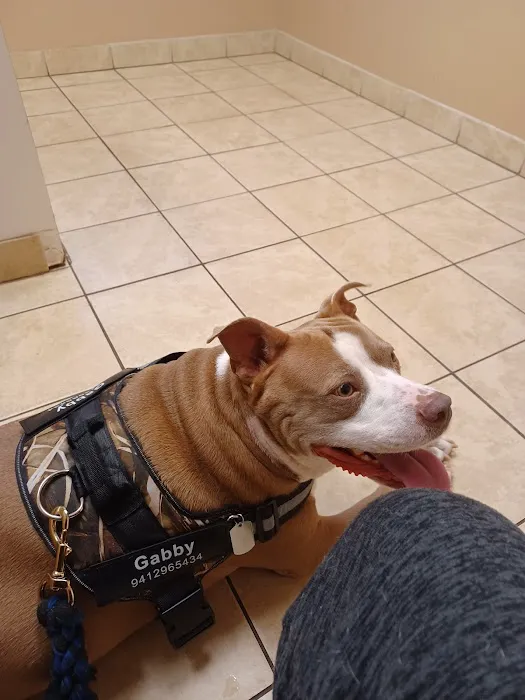 Andrews Veterinary Hospital 2