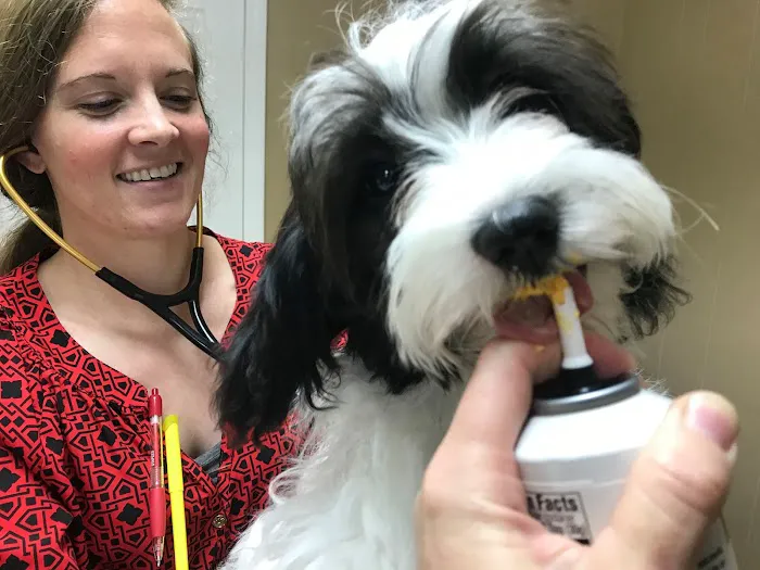 Andrews Veterinary Hospital 5