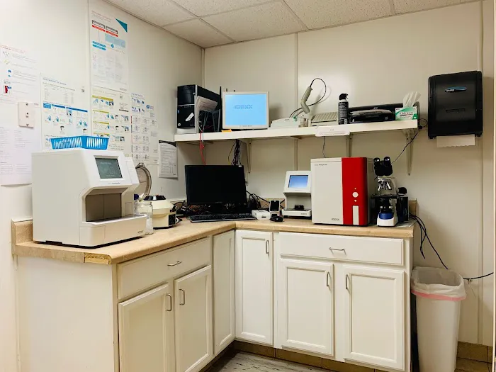 Andrews Veterinary Hospital 9