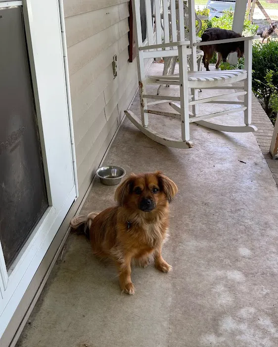 Town & Country Veterinary Hospital 12
