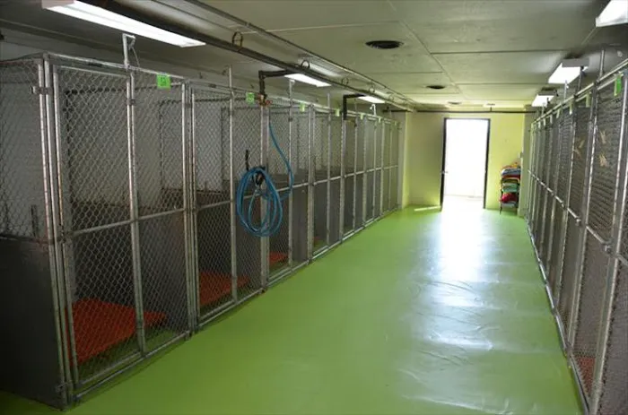Animal Care Center, L.L.C. 12