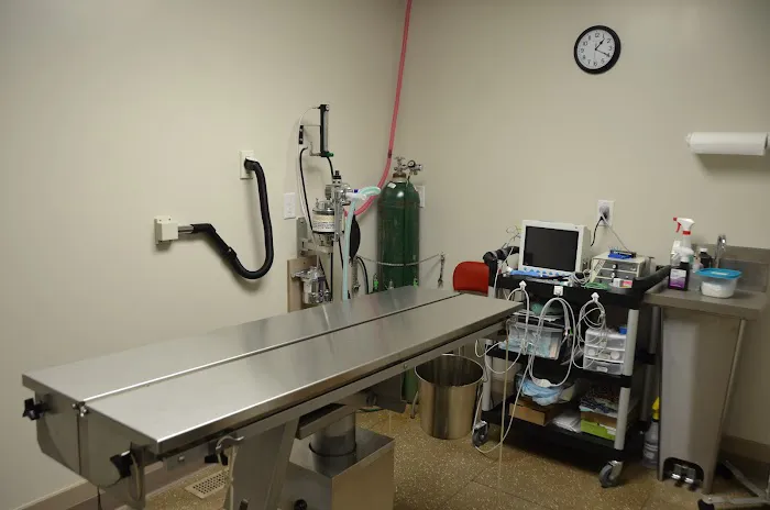 Midtown Veterinary Services & Hospital 12