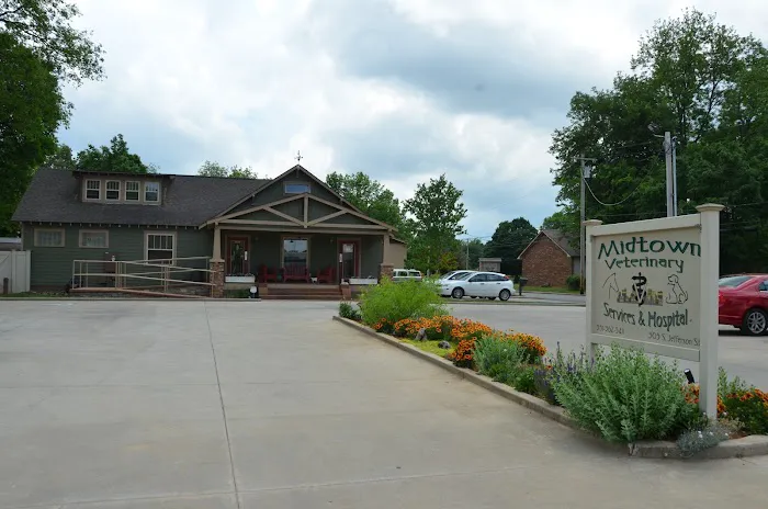 Midtown Veterinary Services & Hospital 12