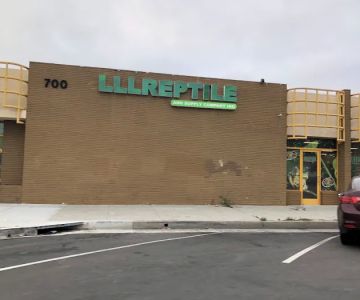 LLL Reptile & Supply Oceanside