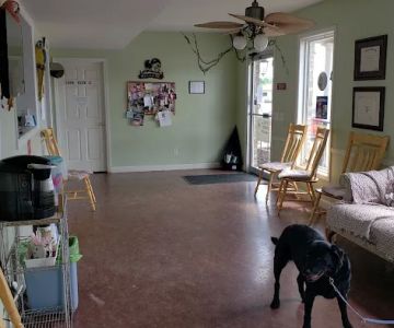 Grant Animal Clinic