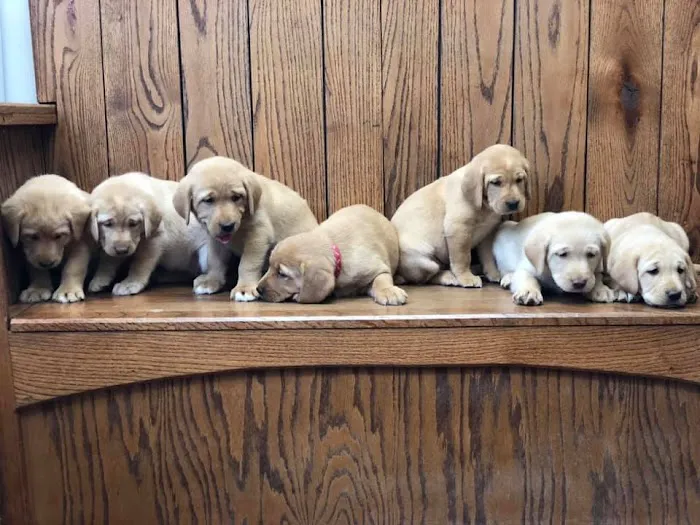 Grant Animal Clinic 12