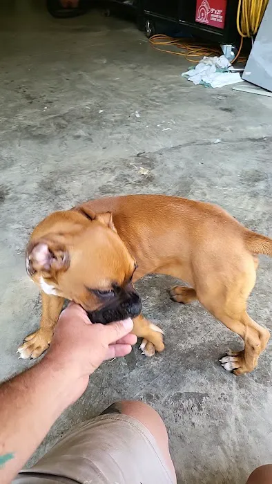Grant Animal Clinic 12