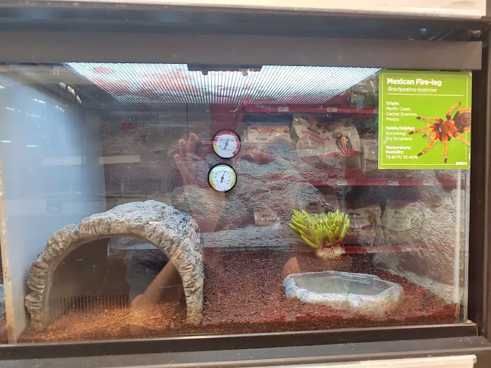 Petco 12