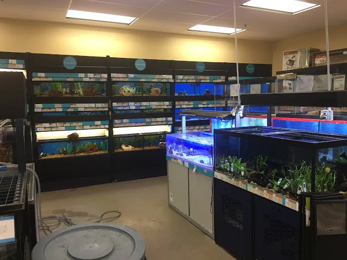 Petco 12