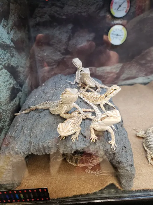 Petco 12