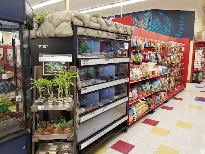 Petco 12