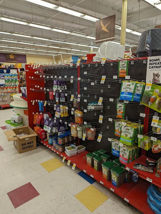 Petco 12