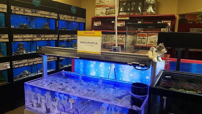 Petco 12