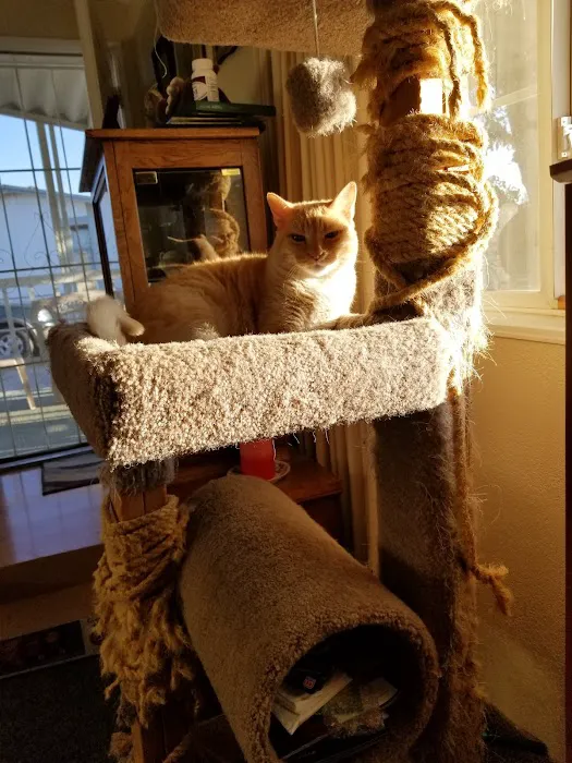 Petco 12