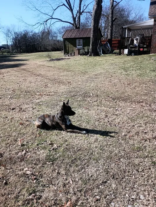 Gurley Animal Clinic 12