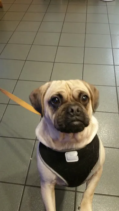 VCA Portsmouth Animal Hospital 1