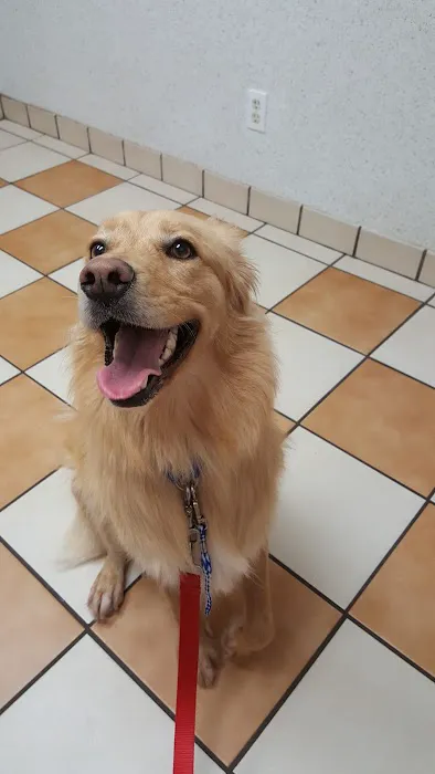 VCA Brentwood Animal Hospital 3