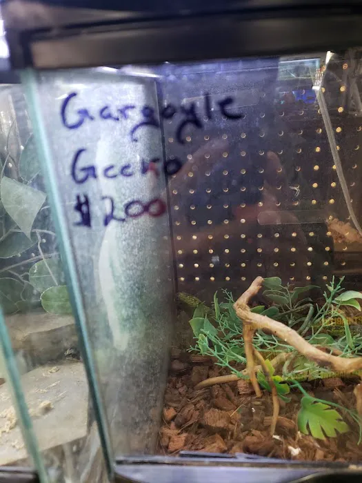 Tails2Scales Pet Shop 12