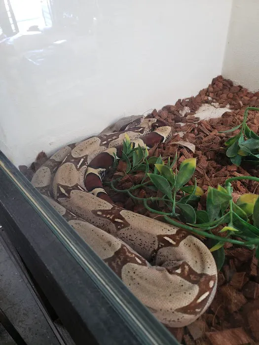 Tails2Scales Pet Shop 12