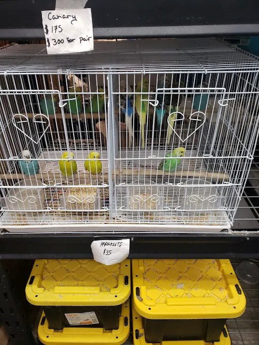 Tails2Scales Pet Shop 12