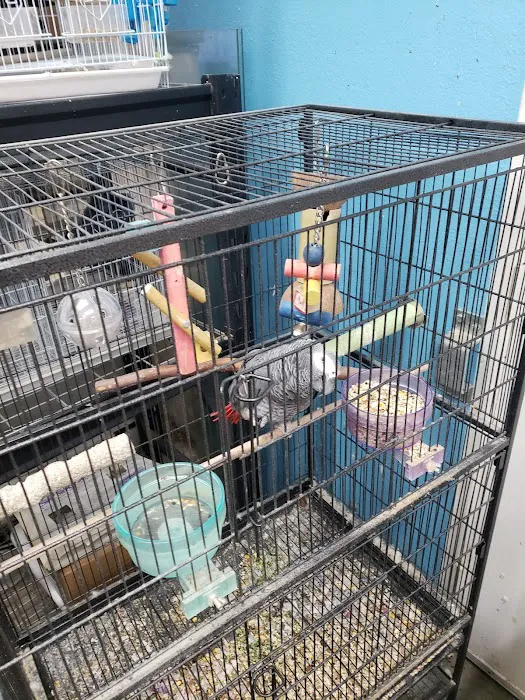 Tails2Scales Pet Shop 12