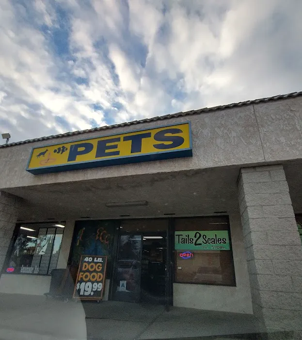 Tails2Scales Pet Shop 12