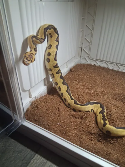 Tails2Scales Pet Shop 12