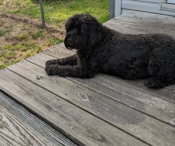 Churchland Animal Clinic