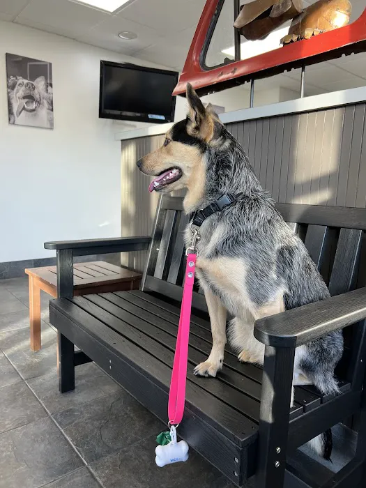 Churchland Animal Clinic 4