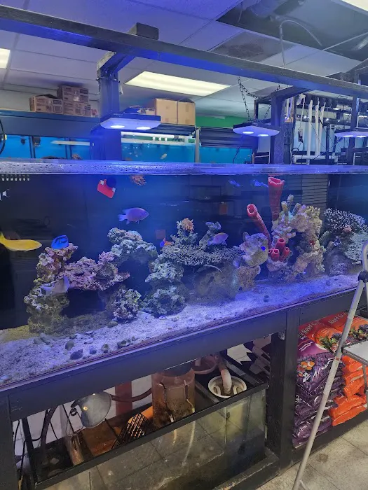 Three Little Fish 12