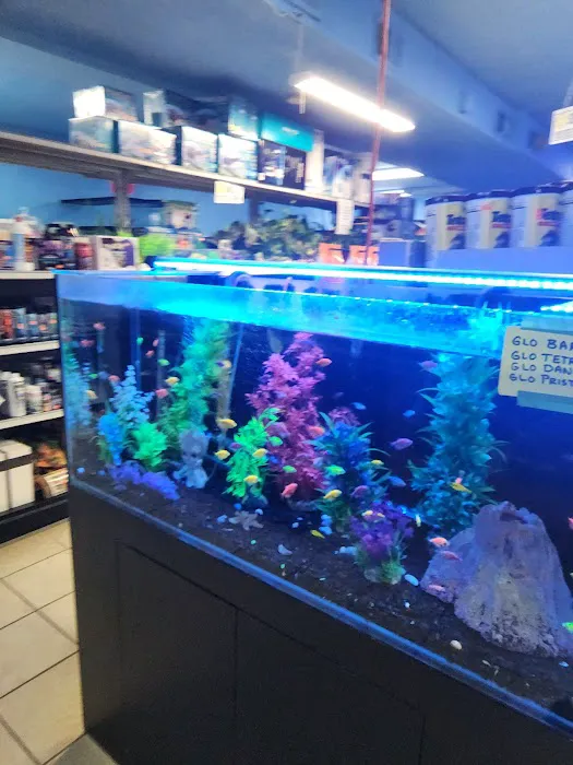 Three Little Fish 12
