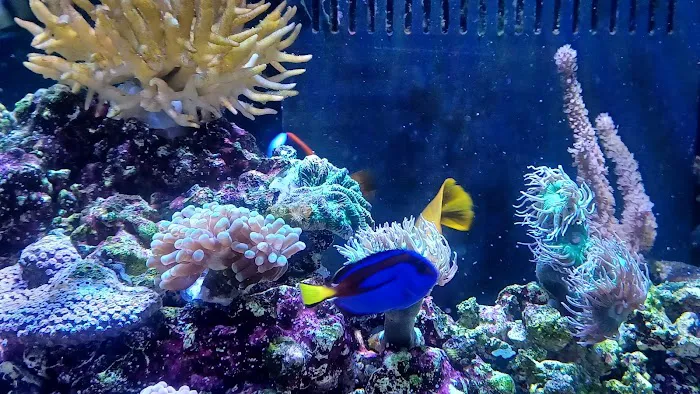 Aquarium Services LLC 12