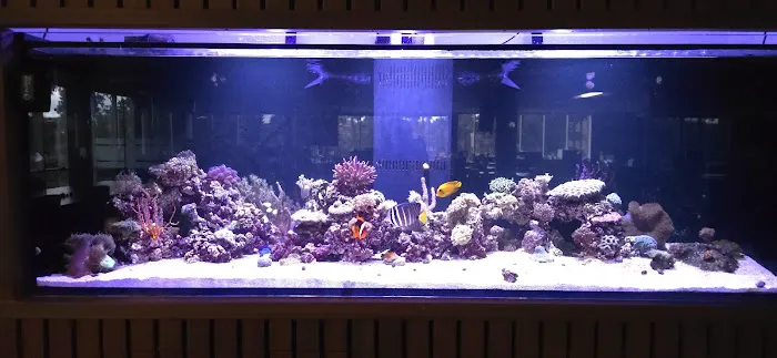 Aquarium Services LLC 12