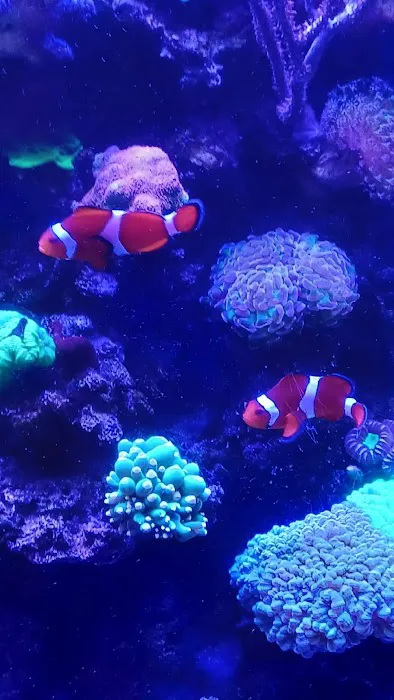 Aquarium Services LLC 12