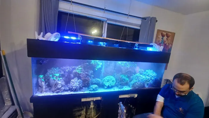 Aquarium Services LLC 12