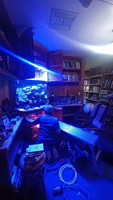 Aquarium Services LLC 12