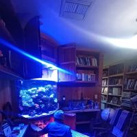 Aquarium Services LLC ico