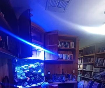 Aquarium Services LLC