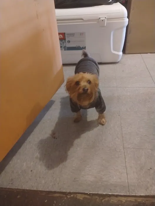 Vital Vet Animal Hospital 1