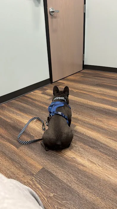 Vital Vet Animal Hospital 2